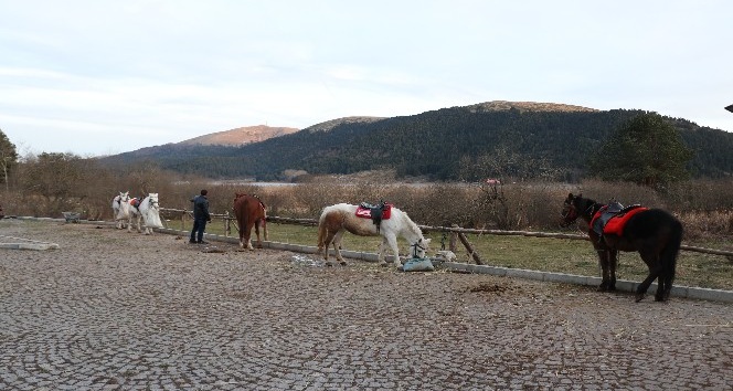 Abant’ta ruam şüphesi olan atların sahiplerine de test yapıldı