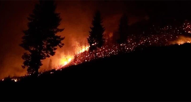 Trabzon ve Giresun’da orman yangınları