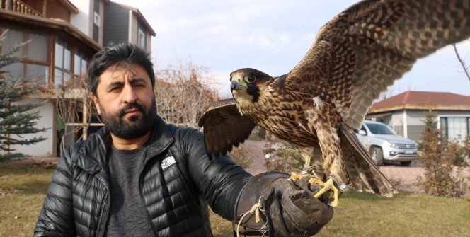 Bir kuş için bir otomobil parası harcadı!