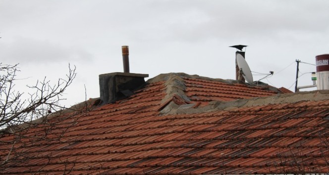 Bacada çıkan yangın paniğe neden oldu