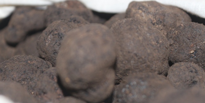 Piyasada kilosu 2 bin euro! 1 milyon 10 bin lira bedelle satışa çıkarılmıştı ikinci ihale başladı!