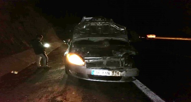 Yola fırlayan domuza çarpan otomobil kullanılamaz hale geldi