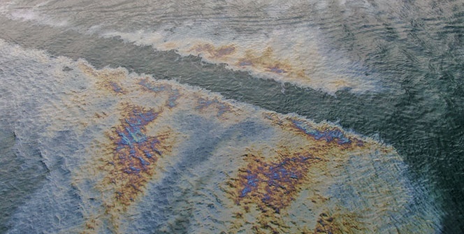 Marmara Denizinde çevre kirliliği