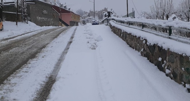 Tunceli’de karla kapanan  113 köy yolu açıldı, 48’inde çalışma sürüyor