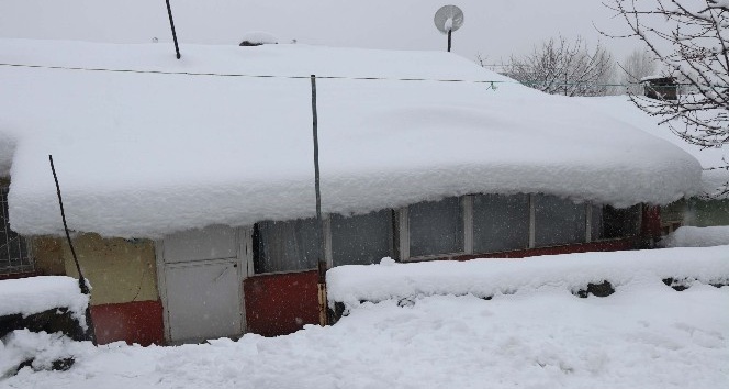 Bitlis’te tek katlı evler kara gömüldü 40 köy yolu ulaşıma kapandı