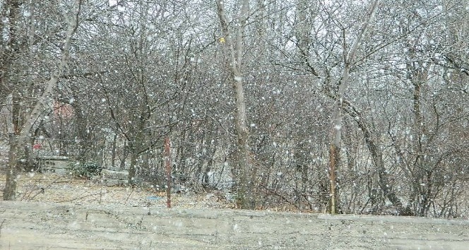 Posof’a kar yeni yıl ile geldi