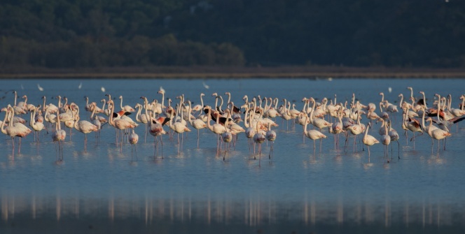 Venedik'ten Bursa'ya