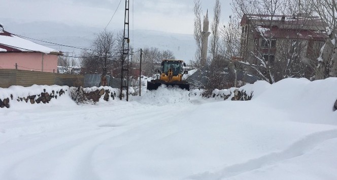 Karlıova’da kar kamyonlarla taşınıyor