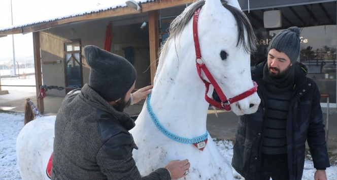 Kar ve soğuğu sanata dönüştürdüler