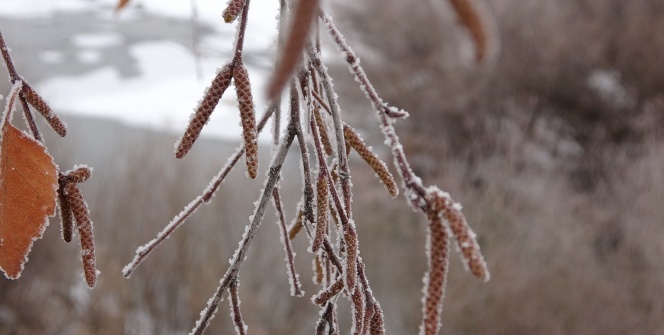 Ardahan buz kesti, Göle ilçesi eksi 27 dereceyi gördü