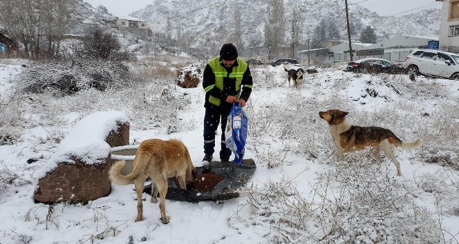 Altındağ’da 500 personel ve 30 araçla kara müdahale