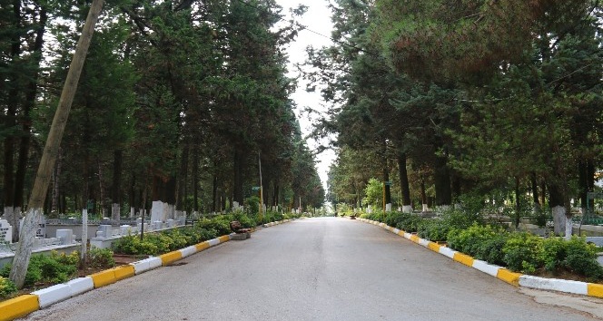 Yalova’da 2019 yılında bin 79 kişi hayatını kaybetti, 933 çift dünya evine girdi