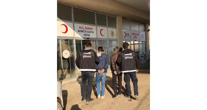 Cizre’de 1 torbacı tutuklandı