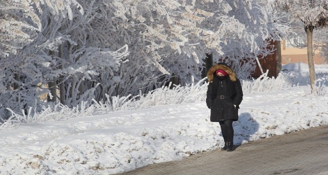 Doğu Anadolu’da dondurucu soğuklar etkili oluyor