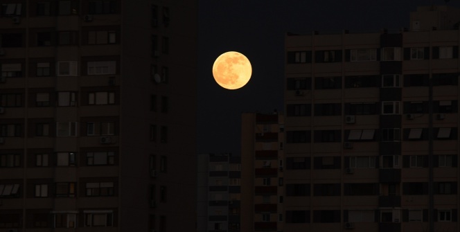 Kendine hayran bırakan görüntüler