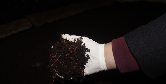 Günde yarım saat ayırıp ayda 10 bin lira kazanıyor!