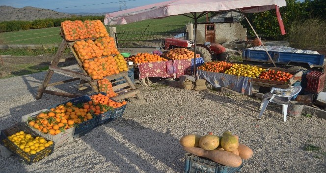Adana’dan hediyelik portakal