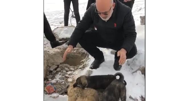 Su kuyusuna düşen yavru köpekleri itfaiye ekibi kurtardı