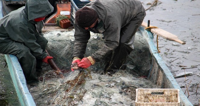 Göle serilen ağlar buz tuttu, balıkçıların mesaisi zorlaştı