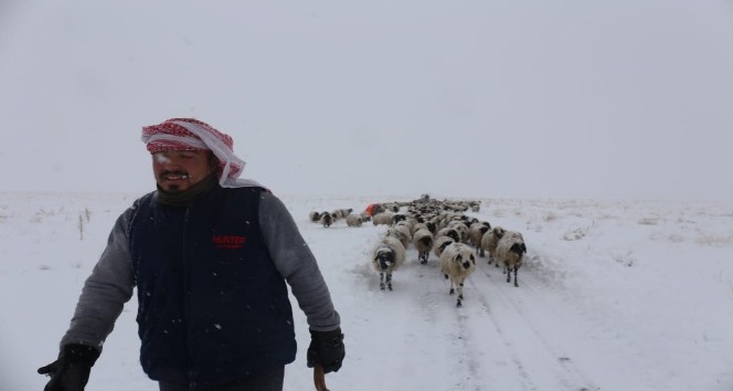 Gürpınar’da tipide mahsur kalan 2 çoban ve koyun sürüsü belediye ekipleri tarafından kurtarıldı