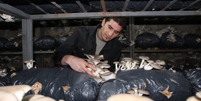 Hobi olarak başladı! Siparişlere yetişemez oldu!