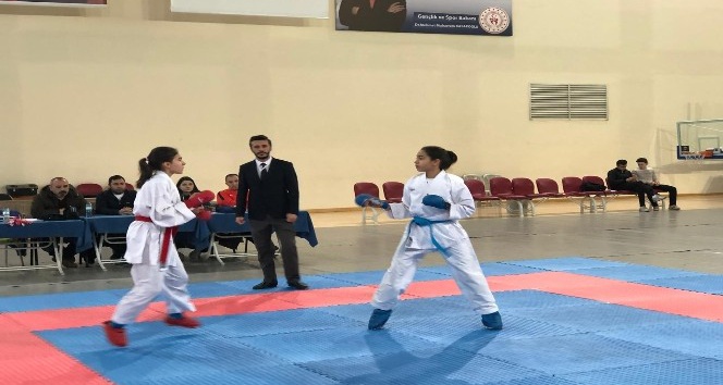 Okullar Arası Karate Genç (A-B) İl Birinciliği Müsabakaları Tamamlandı