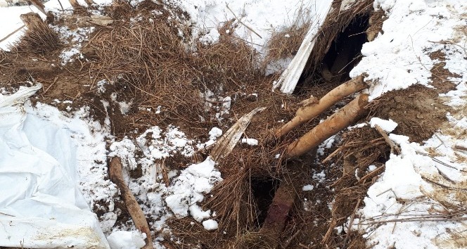 Kardan dolayı ahır çöktü, 4 hayvan telef oldu