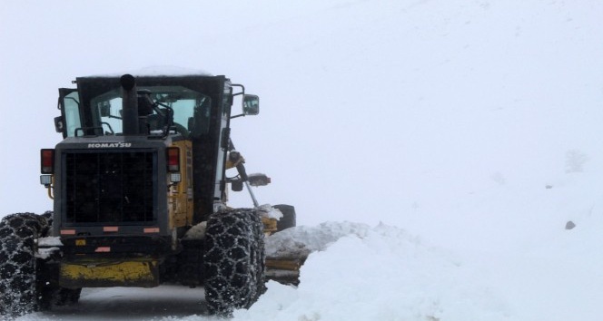Bingöl’de  kar 100 köy yolunu ulaşıma kapattı