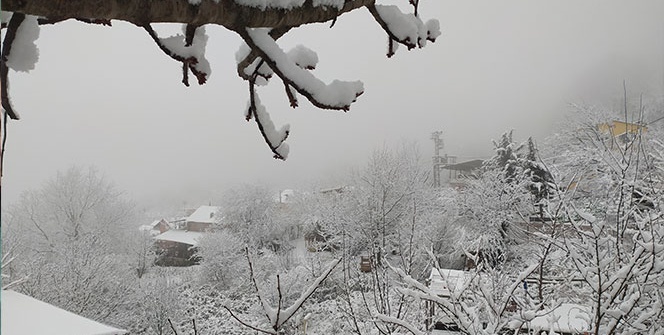 Çalıkuşu beyaza büründü