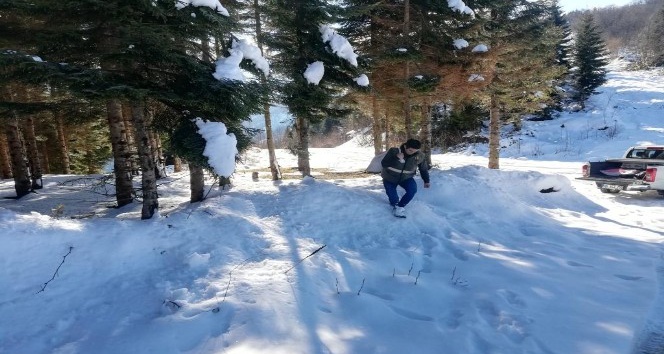 Kara kışta yaban hayatı unutulmadı