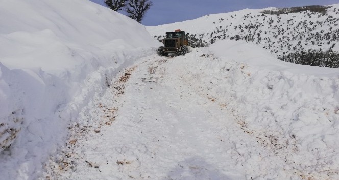 Bingöl’de karla mücadele: 93 köy yolu ulaşıma açıldı