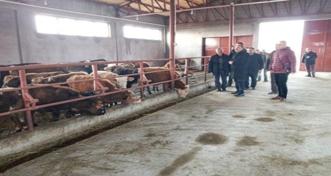 Iğdır’da işletme denetimleri devam ediyor