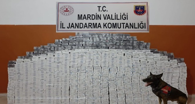Mardin’de 8 bin 470 paket kaçak sigara ele geçirildi