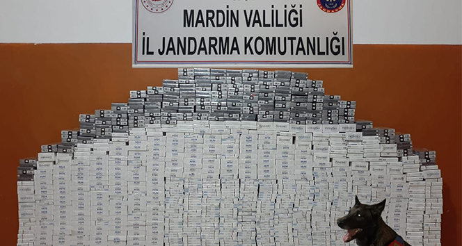 Mardin&#039;de 8 bin 470 paket kaçak sigara ele geçirildi
