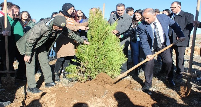 Elazığ’da Hayrettin Karaca anısına 200 fidan dikildi