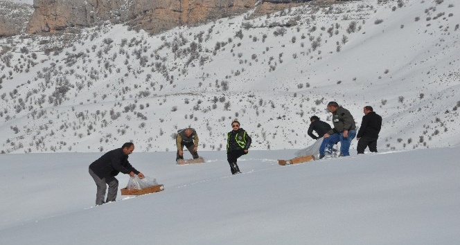 Şırnak’ta yaban hayvanları için doğaya yem bırakıldı