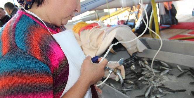 Bu da balık hastanesi, bu kadınların ne yaptığını duyunca çok şaşıracaksınız