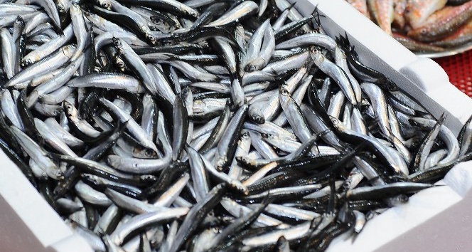 Firar eden hamside fiyat 25 TL’yi buldu