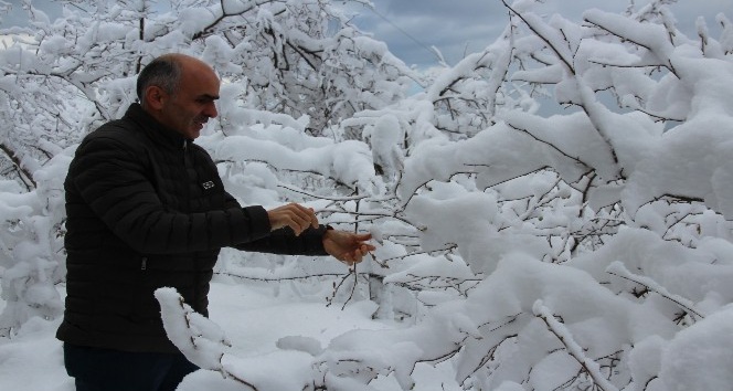 Kar fındık üreticisinin yüzünü güldürdü