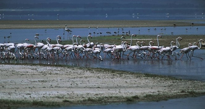 “Acıgöl” kendine hayran bırakıyor