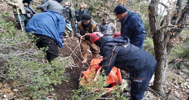 Kaybolan keçilerini ararken uçurumdan düşerek öldü