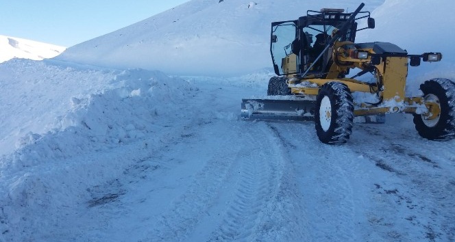 Bingöl’de kar 178 köy yolunu ulaşıma kapattı