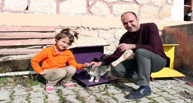 Her Okula Kedi Evi Mersin