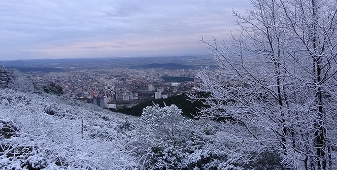 Kar yağışı etkisini gösterdi, Aydos Ormanı beyaza büründü