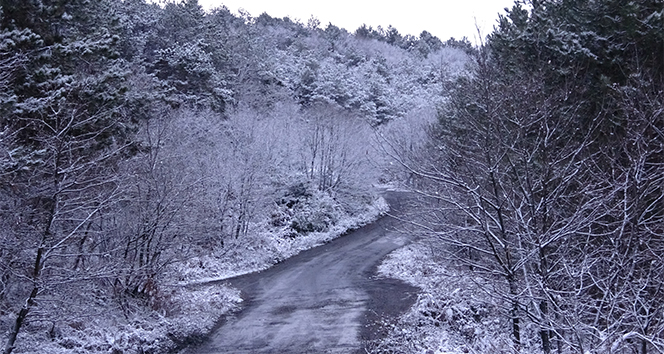 Kar yağışı etkisini gösterdi, Aydos Ormanı beyaza büründü