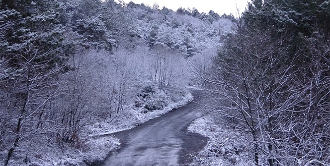 Kar yağışı etkisini gösterdi, Aydos Ormanı beyaza büründü