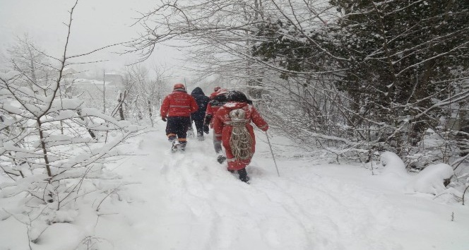 Yoğun kar yağışına rağmen aramalar sürüyor