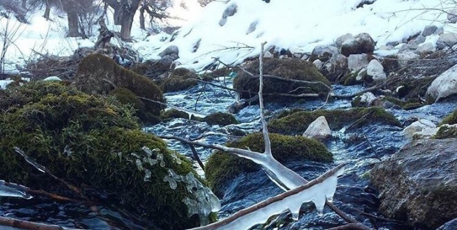 Su birikintisine düşen araç buz tuttu