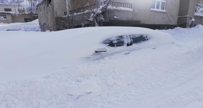 Tatvan’da 2 günde 2 metre kar yağdı