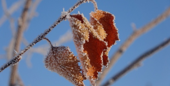 Ardahan Buz şehre döndü: Termometreler eksi 38'i gördü